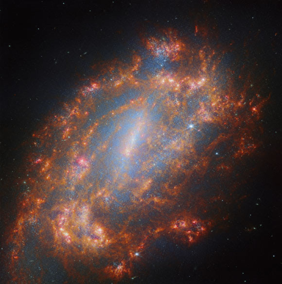 Webb Snaps Breathtaking New Portray of NGC 1559