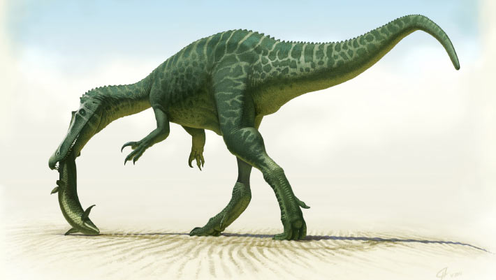 Unusual Spinosaurid Dinosaur Species Acknowledged in Spain