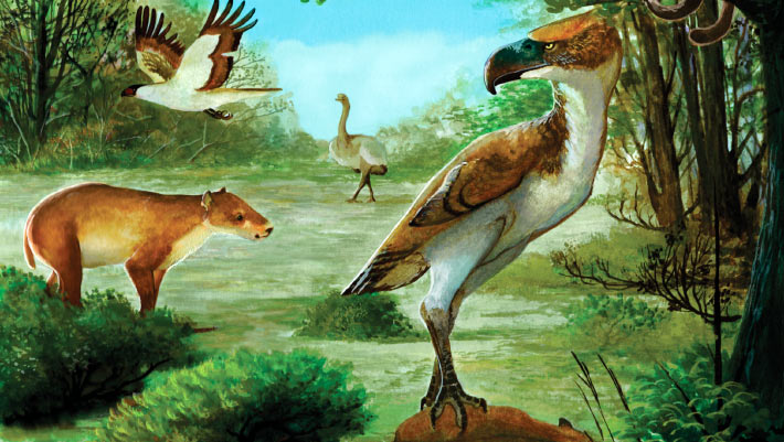 Extensive Horror Birds Had been Apex Predators of Eocene-Interval Antarctica
