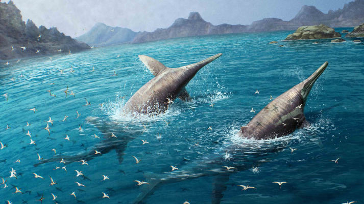 Paleontologists Name Original Species of Giant Triassic Ichthyosaur
