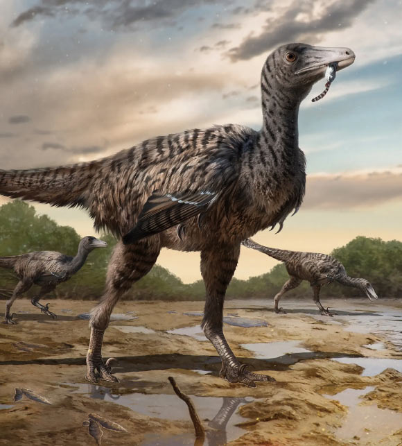 Footprints of Huge Troodontid Dinosaur Found in China
